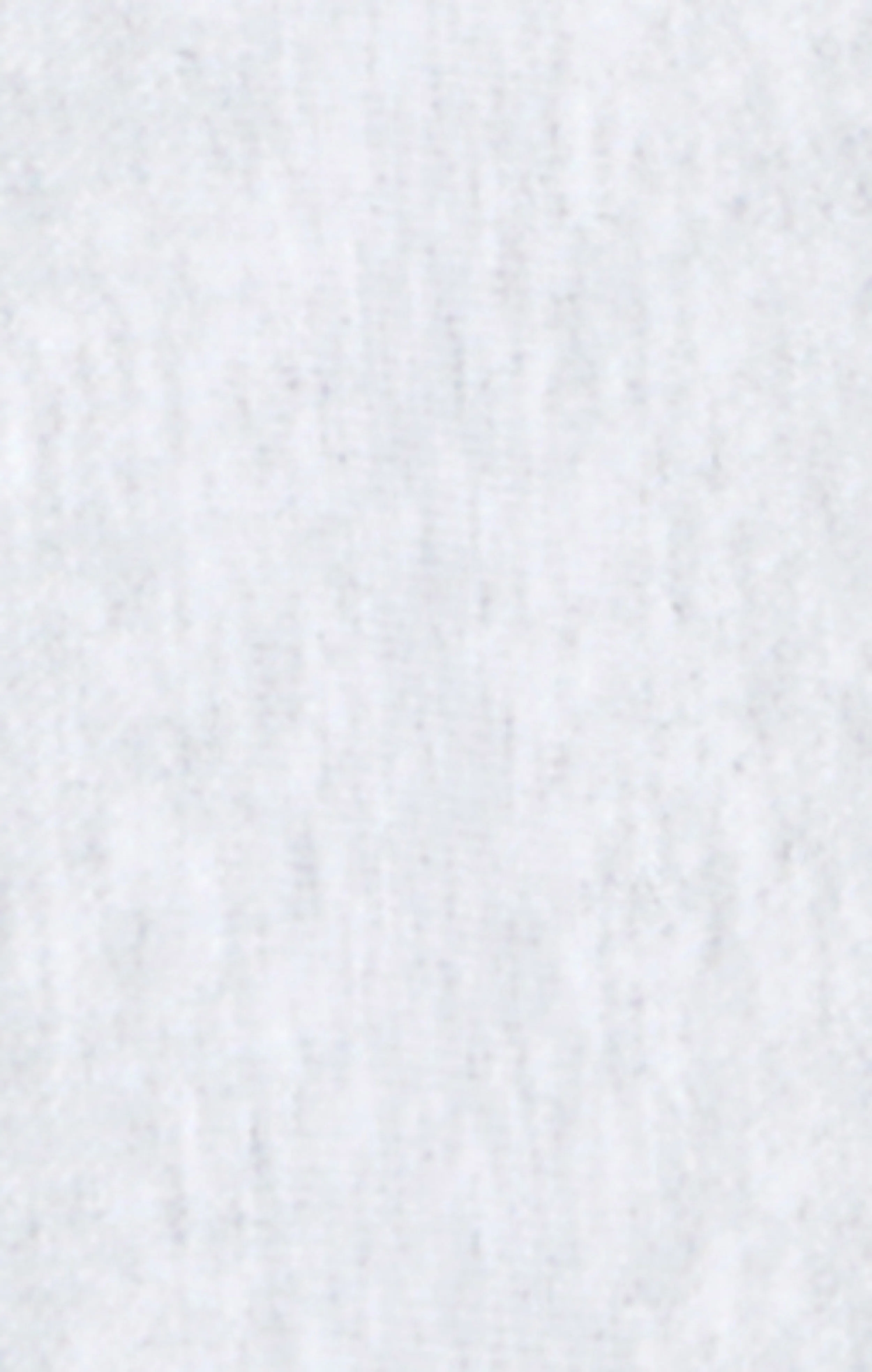 Men’s Crewneck Sweatshirt Reverse Weave - Image 6
